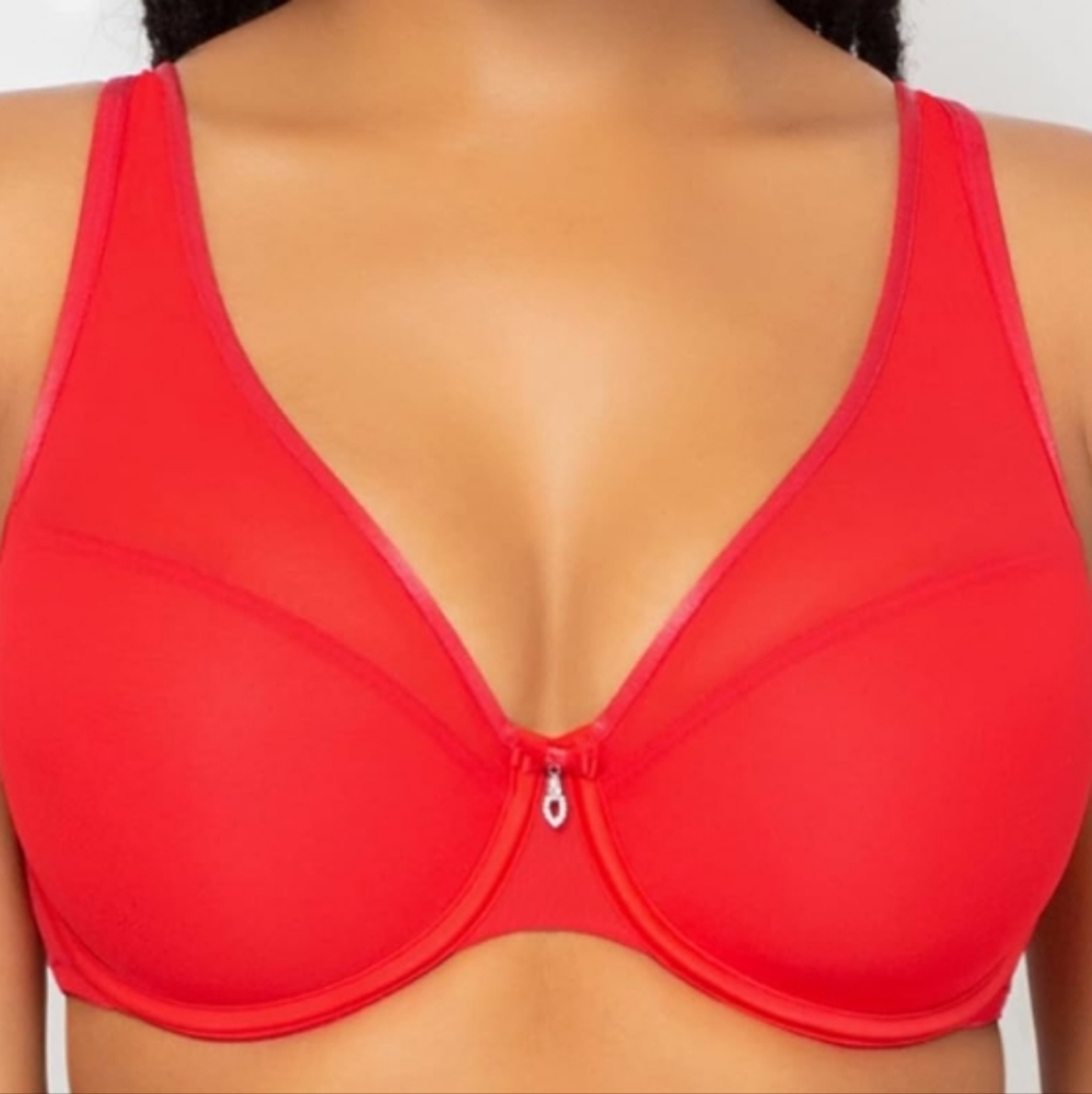 Curvy Couture Plus Size Women's Sheer Mesh lined Plunge T-Shirt Bra 42H NWT
